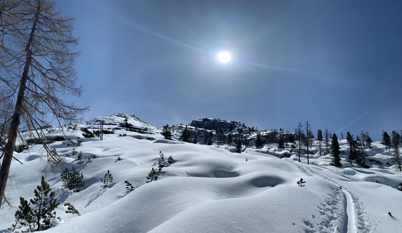 Pension Erlhof Saalfelden Bagian luar foto