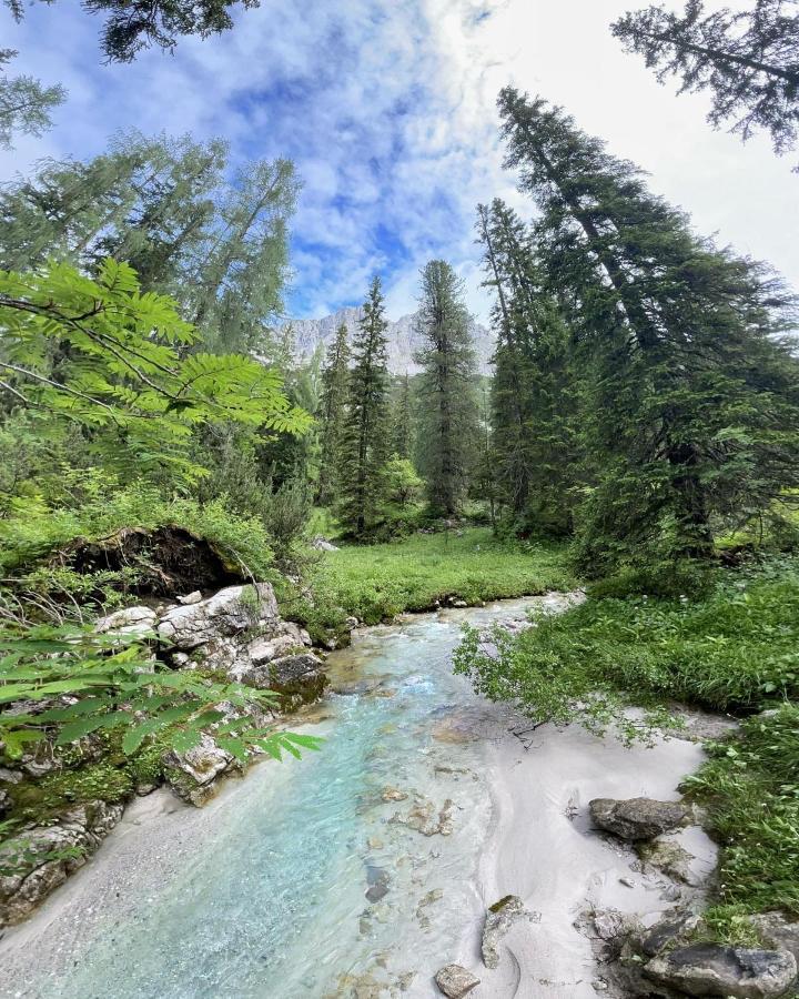 Pension Erlhof Saalfelden Bagian luar foto