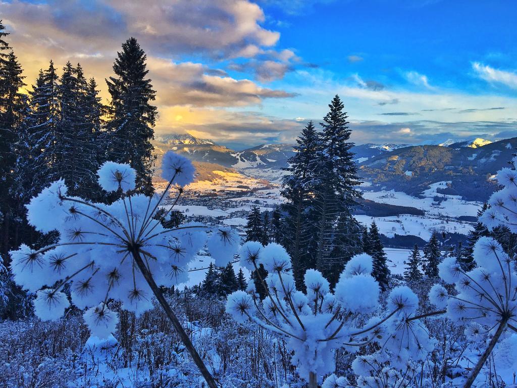 Pension Erlhof Saalfelden Bagian luar foto