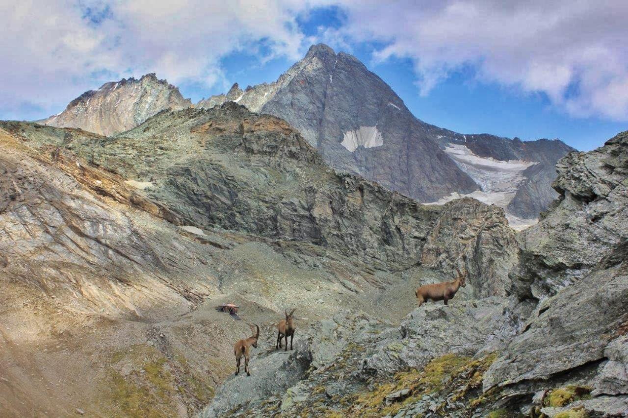 Pension Erlhof Saalfelden Bagian luar foto