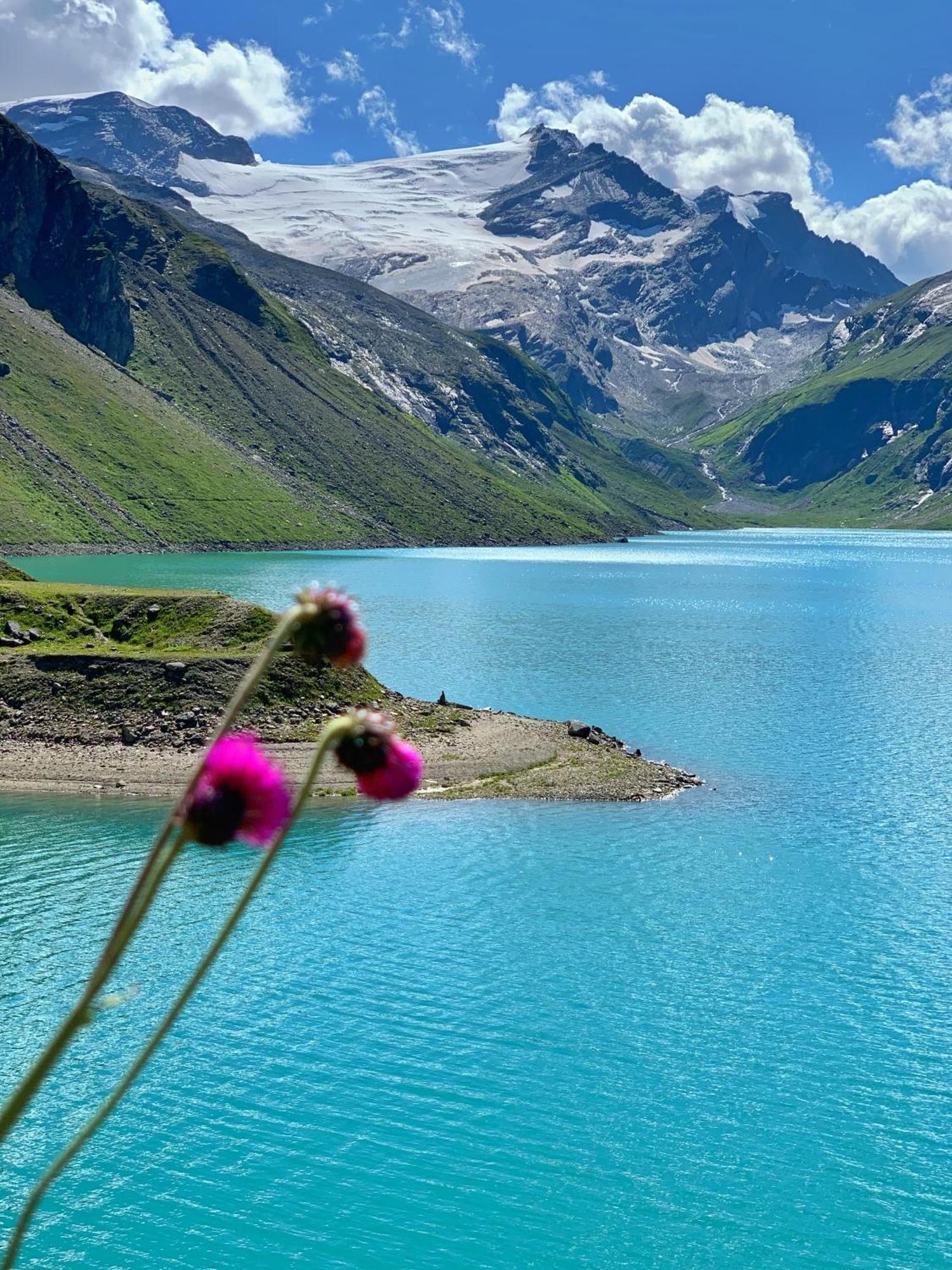 Pension Erlhof Saalfelden Bagian luar foto