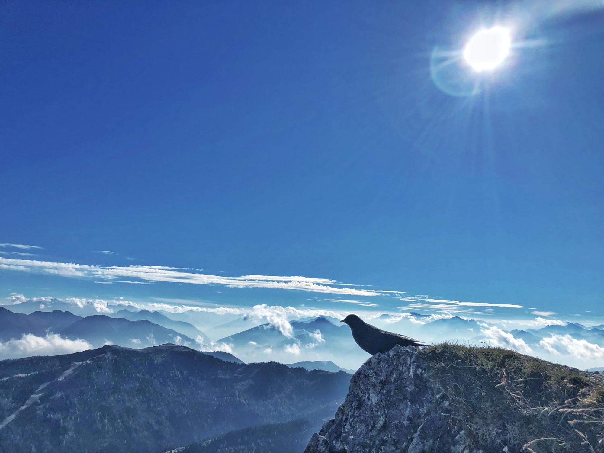Pension Erlhof Saalfelden Bagian luar foto
