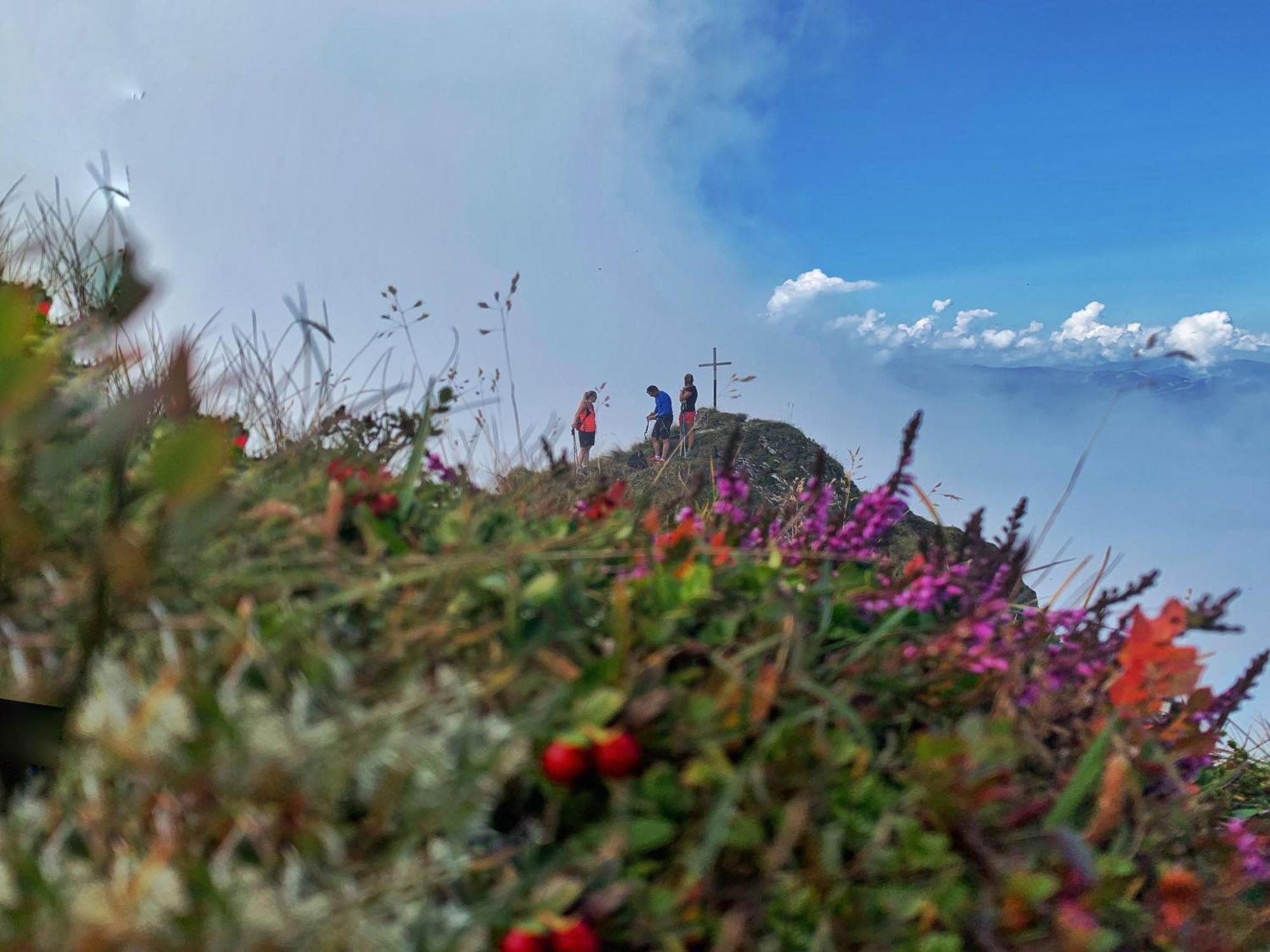 Pension Erlhof Saalfelden Bagian luar foto