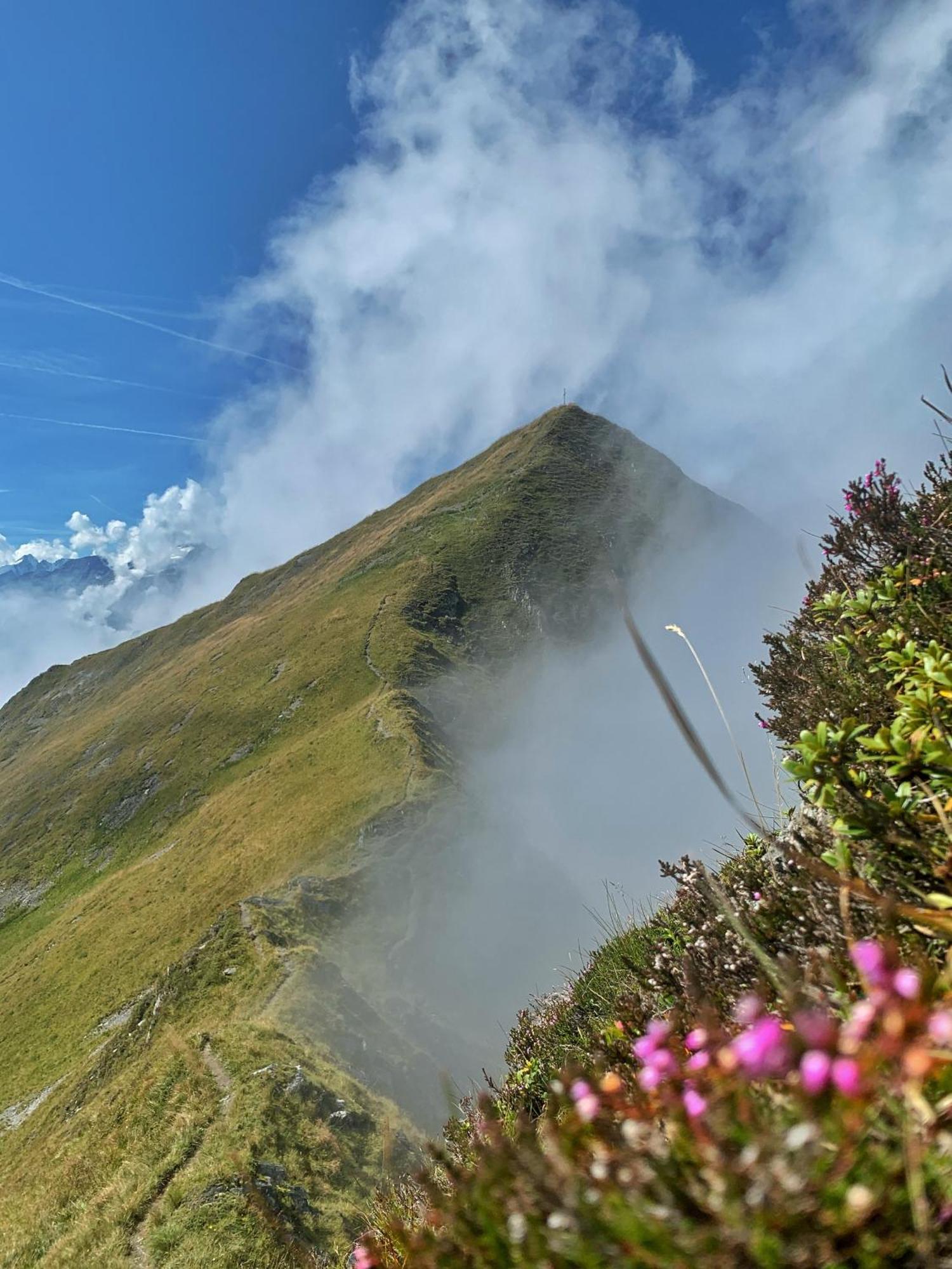 Pension Erlhof Saalfelden Bagian luar foto