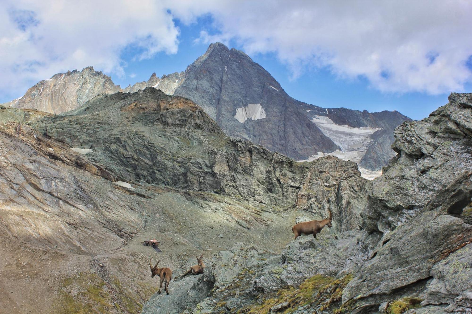 Pension Erlhof Saalfelden Bagian luar foto