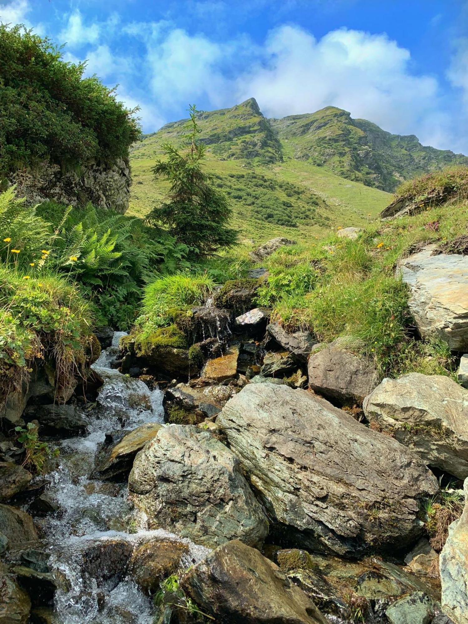 Pension Erlhof Saalfelden Bagian luar foto