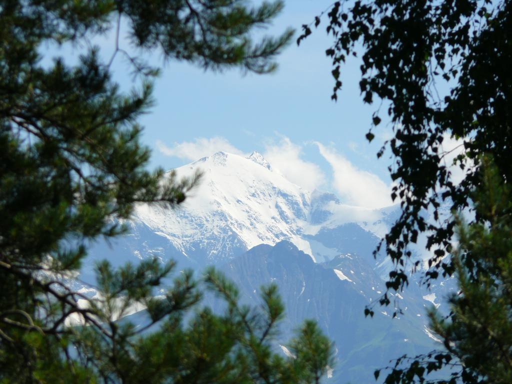 Pension Erlhof Saalfelden Ruang foto